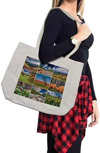 Лятна чанта за пазаруване Ambesonne, Колаж с Летни Пейзажи, Величествени Планини, Водопади, Высокогорьями, Дългогодишна Чанта за Еднократна употреба за продукти, Плажа